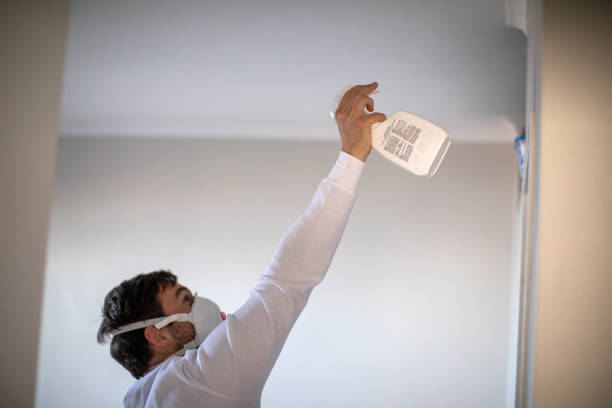 Best Mold Cleaning Services  in Fort Dick, CA