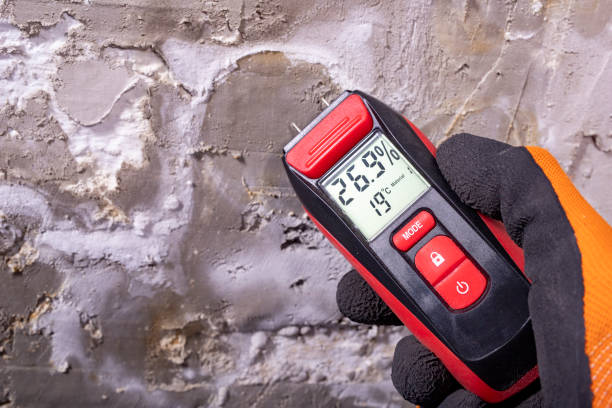 Best Mold Damage Repair  in Fort Dick, CA