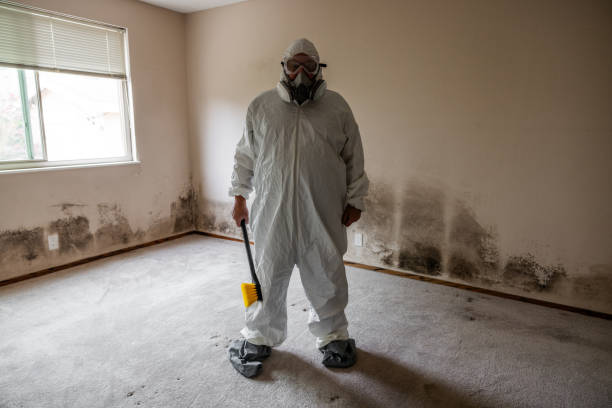 Best Mold Testing  in Fort Dick, CA